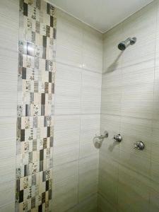 伊皮亞萊斯的住宿－TRÉBOL GOLDEN HOTEL，带淋浴的浴室和玻璃门