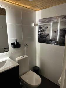a bathroom with a white toilet and a sink at Rewell Suite - Central location and nice view! in Vaasa