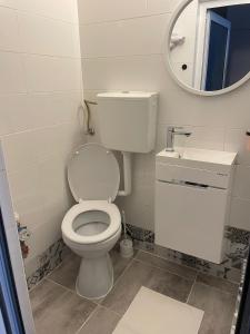 Koupelna v ubytování Cazare Poiana