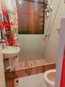 een badkamer met een wastafel, een toilet en een douche bij Pacheco APARTMENT in Cuzco