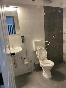 ein Badezimmer mit einem WC, einem Waschbecken und einem Spiegel in der Unterkunft Fully Furnished Luxurious Terrace apartment in Pune