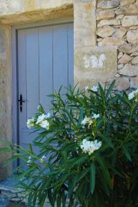 una puerta azul con una planta delante de ella en Mas OREA, en Gordes