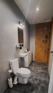 a bathroom with a toilet and a sink at Noclegi u Lidki 