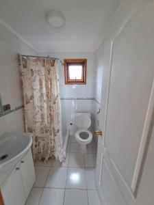 a bathroom with a toilet and a sink and a window at Cabañas ruta internacional 215 I, Osorno in Osorno