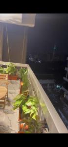 een balkon met potplanten bovenop een gebouw bij Apartment for rent Zamalek in Caïro