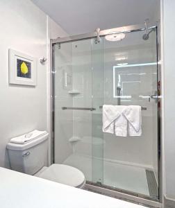 a bathroom with a glass shower with a toilet at Hampton Inn Danville in Danville