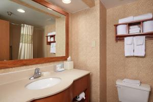Hampton Inn Franklin, KY - Portland, TN的一间浴室