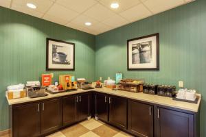 a room with green walls and a counter with food at Hampton Inn Front Royal in Front Royal