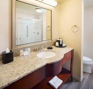 Koupelna v ubytování Hampton Inn & Suites - Mansfield