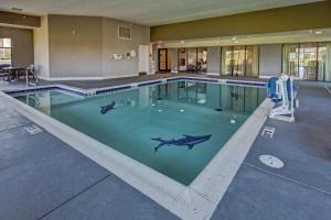 a swimming pool with sharks painted on the water at Hampton Inn Indianapolis-SW-Plainfield in Plainfield