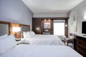 a hotel room with two beds and a television at Hampton Inn Janesville in Janesville