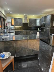 a large kitchen with stainless steel appliances and a counter at Krystal Residence in London