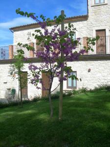 Zahrada ubytování Agriturismo Borgo San Martino