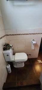 a bathroom with a toilet with a plant on it at La casa de Boris 1 in Ushuaia