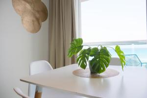 坎昆的住宿－A 2 minutos caminando de COCO BONGO! vista al mar - Od110 -，坐在窗边的白色桌子上的植物