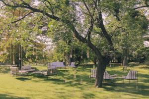 grupa krzeseł pod drzewem w parku w obiekcie Enlace Casa de Huespedes w mieście Lujan de Cuyo