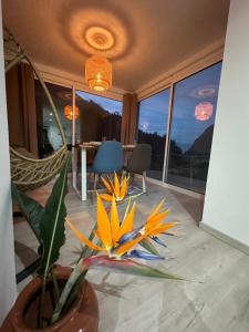 ein Zimmer mit einer Blume in der Mitte eines Zimmers in der Unterkunft The Green Valley House in São Vicente