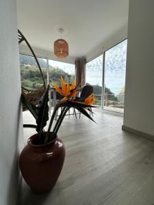 a vase with flowers in a room with a window at The Green Valley House in São Vicente