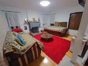 sala de estar con sofá y alfombra roja en Charlami's Mansion en Polýdroson