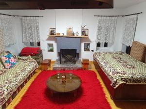 Charlami's Mansion في Polýdroson: غرفة معيشة بسريرين وسجادة حمراء