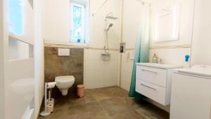 een badkamer met een toilet, een wastafel en een douche bij Traumschlösschen EG in Nossen