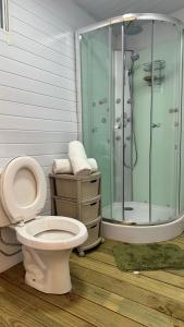 a bathroom with a toilet and a shower at La Cabaña Punta Negra in Punta Colorada