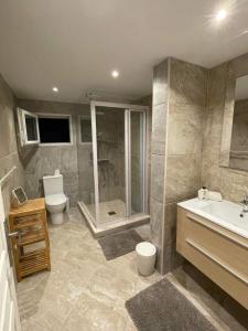 a bathroom with a shower and a toilet and a sink at Coco Lodge in Les Terres Basses