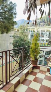 un balcone con 2 piante in vaso e un edificio di Shimla Vibes B & B free pick & drop from ISBT Shimla a Shimla