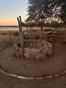 a stone fire pit with a tree and a bench at Portezuelo de árboles 