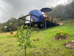 Gallery image of Glamping blue. in Guatavita