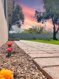 a row of red flowers sitting on a sidewalk at 20th Phoenix home in Phoenix