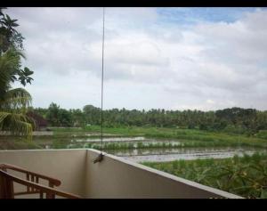 einen Balkon mit Blick auf ein überschwemmtes Feld in der Unterkunft Bali Traditional homestay in Gianyar