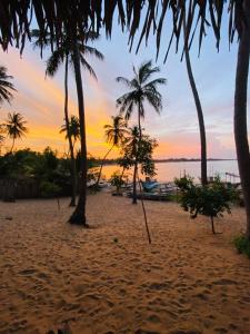 阿魯岡灣的住宿－Ocean Vibe Srilanka，棕榈树和日落海滩
