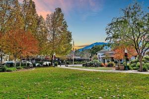 une ville avec un parc avec des arbres et une pelouse dans l'établissement *DESIGNER East Bay Remodel Home*, à Concord