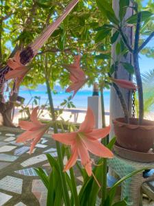 a group of flowers on a table near the beach at Studio at the Beach in Ban Ao Makham