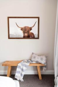 a picture of a bull on a wall next to a bench at Lazy Frog Lodge Mudgee country luxury in Mudgee