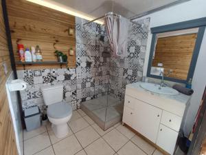 ein Bad mit einem WC und einem Waschbecken in der Unterkunft Les cabanes éco-responsables in Saint-Louis
