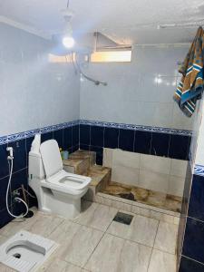 un baño con inodoro y lavabo en Nabatean NIghts Home Stay, en Wadi Musa 6 fotos más