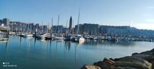 勒阿弗爾的住宿－Vivez La vue mer - Studio - Port de plaisance - Plage，一群船停靠在港口,有建筑物