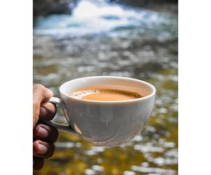 una persona está sosteniendo una taza de café en Cave N Falls Nature Resort & Water Park, en Kitulgala