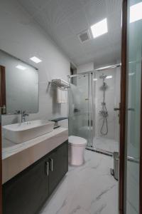 ein Bad mit einem Waschbecken, einer Dusche und einem WC in der Unterkunft MIMOSA HOTEL in Hạ Long