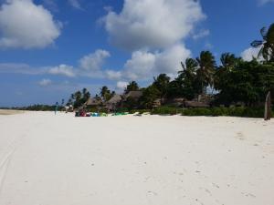 a sandy beach with houses in the background at Jambiani Guest Lodge UNGUJA in Jambiani