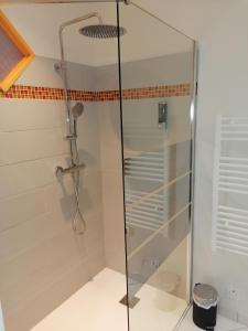 eine Dusche mit Glastür im Bad in der Unterkunft AU CLOS DE L'ETANG in Ravel