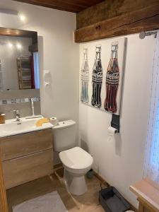 a bathroom with a toilet and two bottles on the wall at Maison de village de 1802, fraîchement rénovée à Beauvezer 04370 in Beauvezer