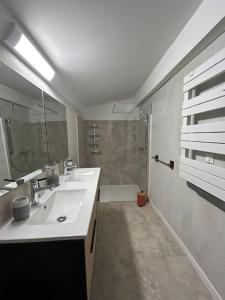 阿爾勒的住宿－"La berge" Vue sur le Rhône Jardin，白色的浴室设有2个盥洗盆和淋浴。