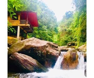 una cascada en medio de un río en un bosque en Cave N Falls Nature Resort & Water Park, en Kitulgala