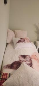 A bed or beds in a room at Casa M-MiMi"s Paradise