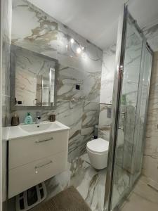 a bathroom with a toilet and a sink and a shower at Andrea's holydays in Roquebrune-Cap-Martin