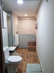 La salle de bains est pourvue d'une douche et de toilettes. dans l'établissement Imperial Room4 - ultracentral - minipiscina cu hidromasaj, à Oradea