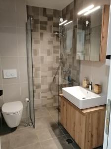 Koupelna v ubytování Aries apartman Divčibare + 28 fotografií